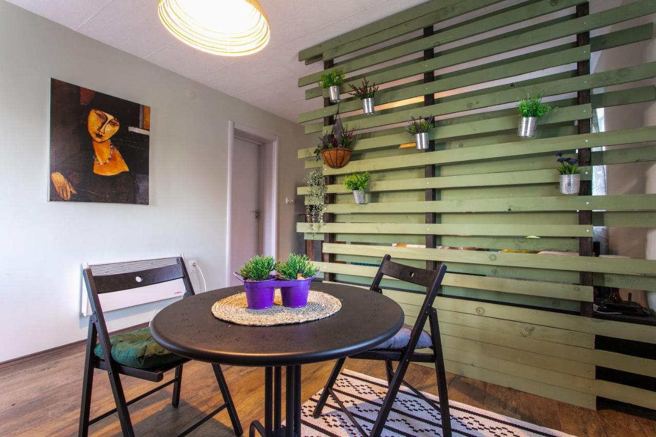 Seosko Domacinstvo Pustolov Apartment Stari Banovci ภายนอก รูปภาพ